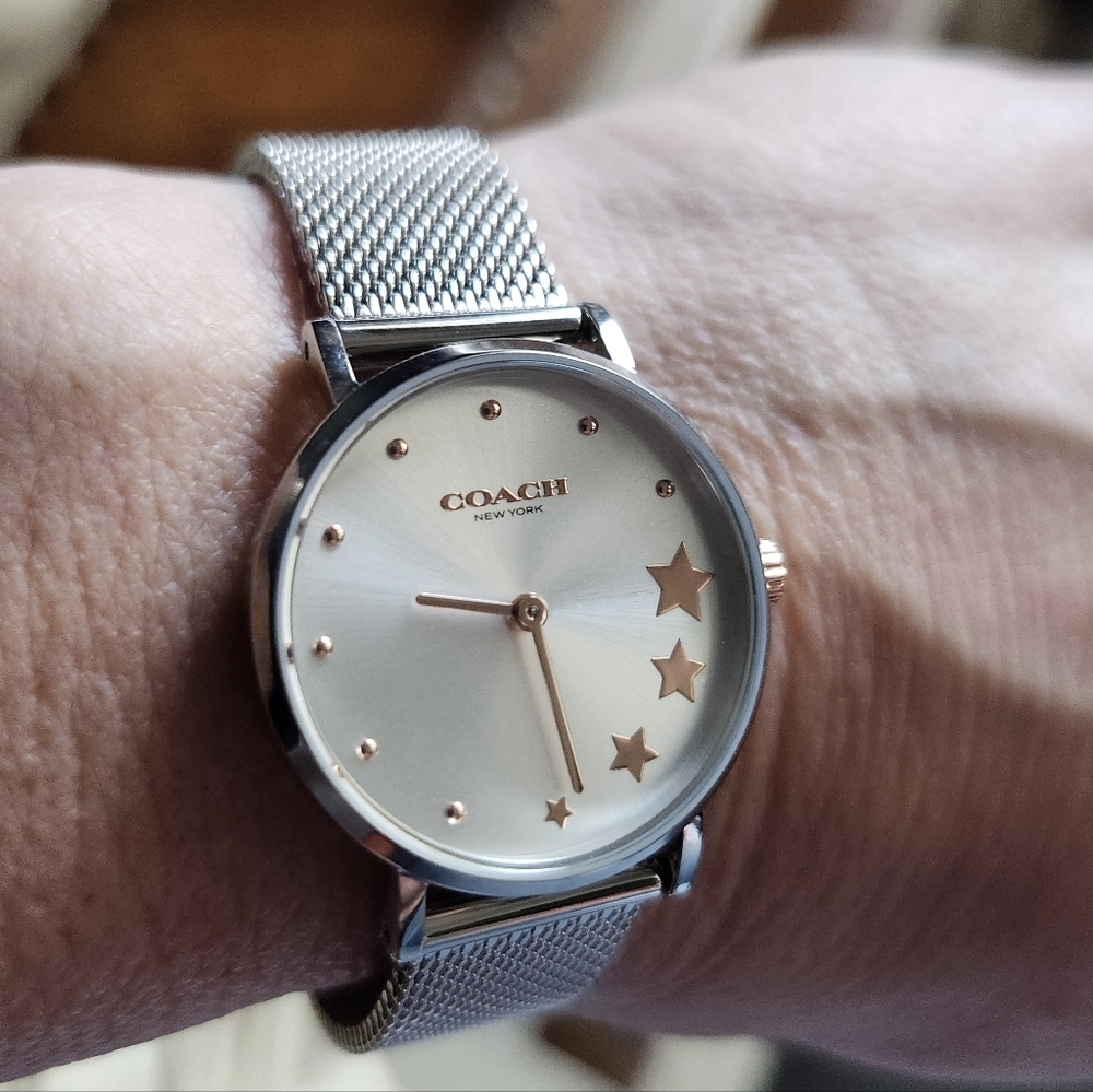 Coach Star Mesh Watch Silver